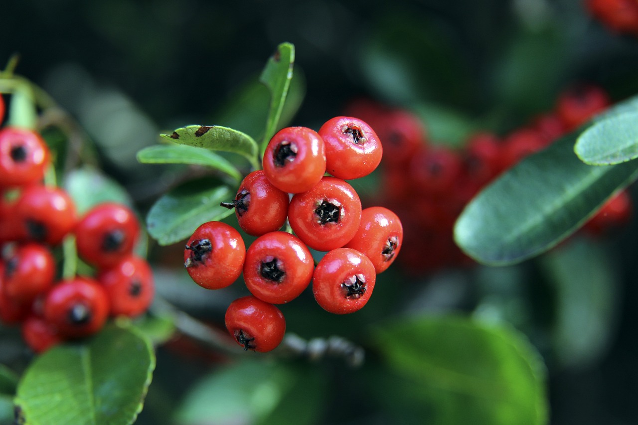 伍提升自己 伍提升自己