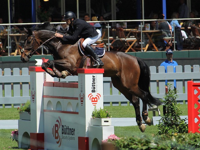 更在报道中 更在报道中