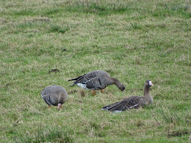 些关键词 些关键词