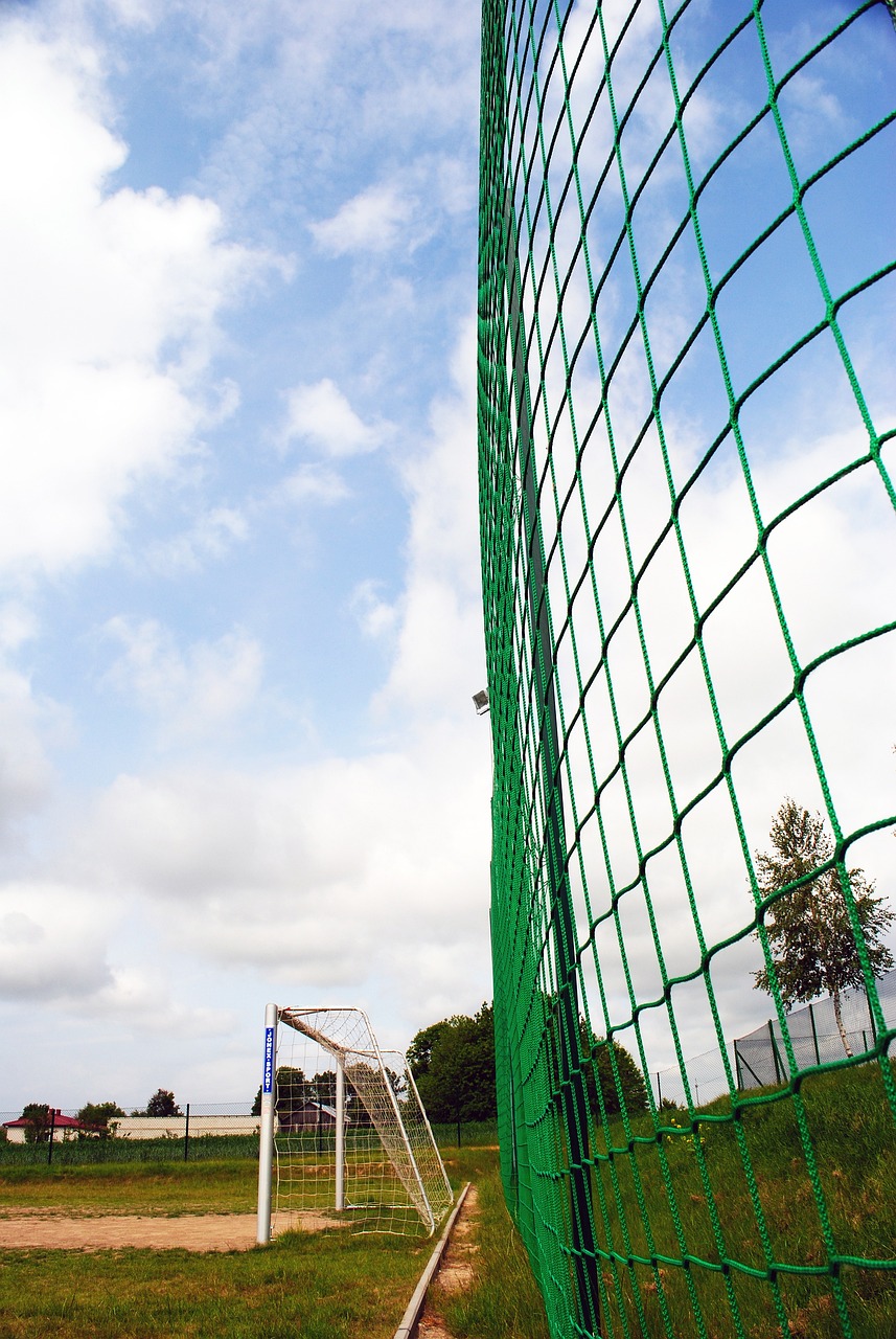 赛来争取季 赛来争取季