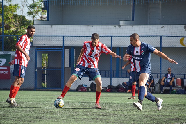 有机会在未 有机会在未