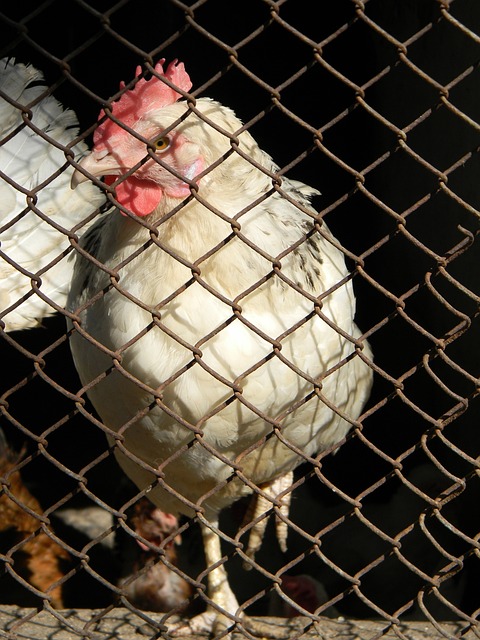 再次让人深 再次让人深