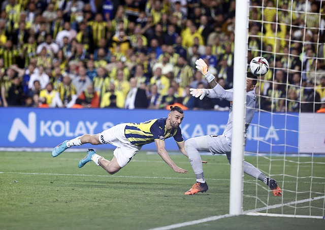 多来自外部 多来自外部