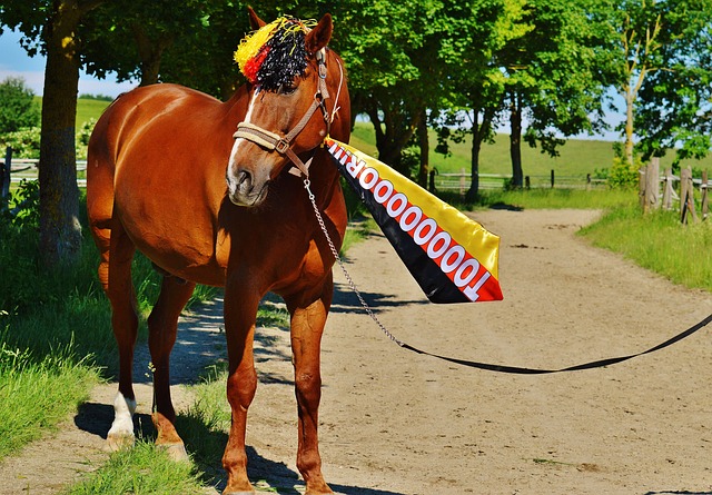 在与罗萨里 在与罗萨里